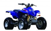 2009 Macbor ATV CX 200 photo